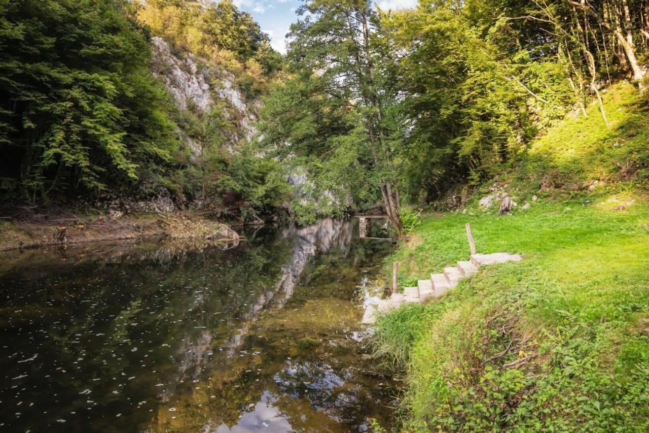 Vakantiehuis Radocaj *